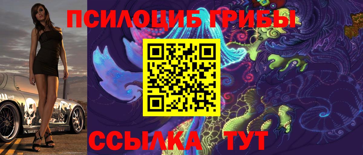 Псилоцибиновые грибы Magic Shrooms Кизляр