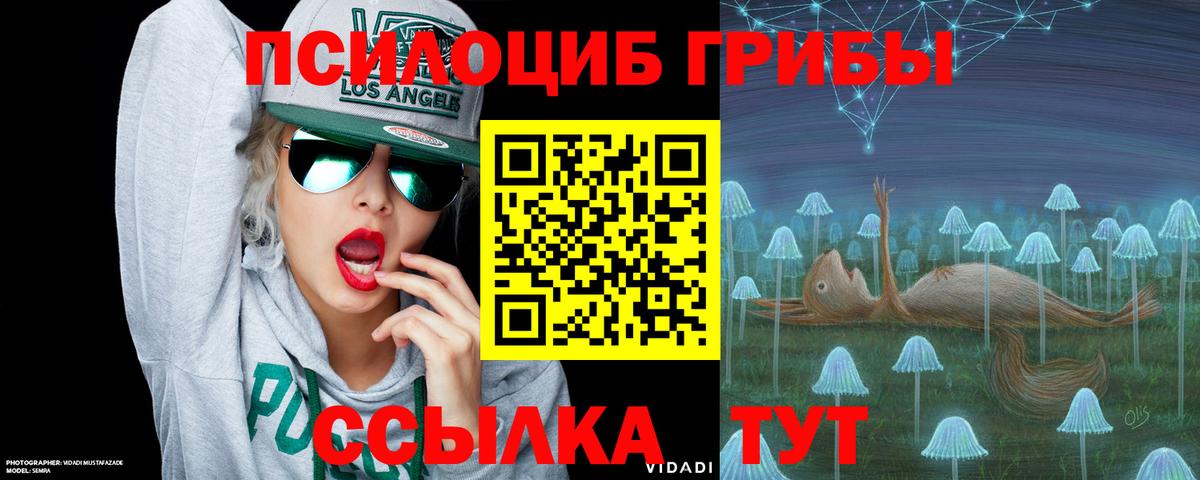 Галлюциногенные грибы Psilocybe  Вход с VPN  Псилоцибиновые грибы мицелий  Кизляр 