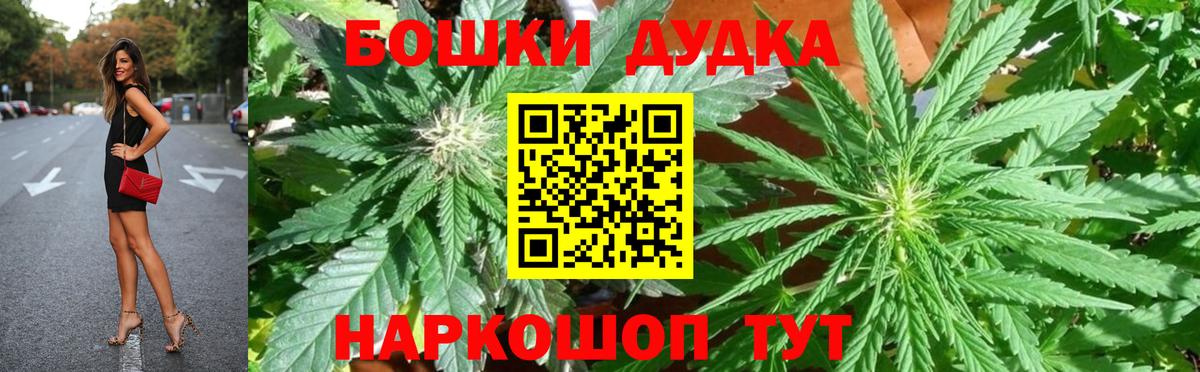 Бошки Шишки планчик Кизляр